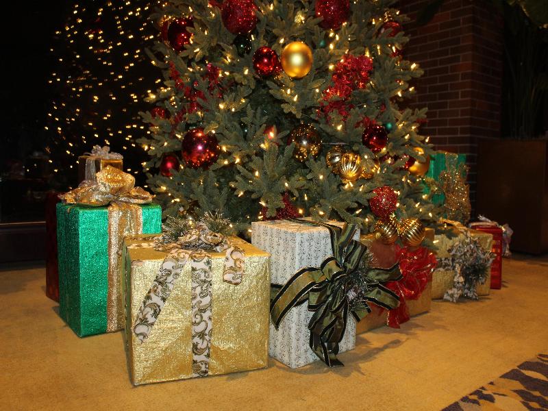 Hyatt Lodge Oak Brook Chicago image