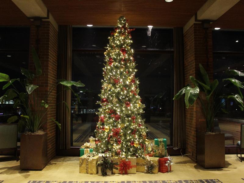 Hyatt Lodge Oak Brook Chicago image