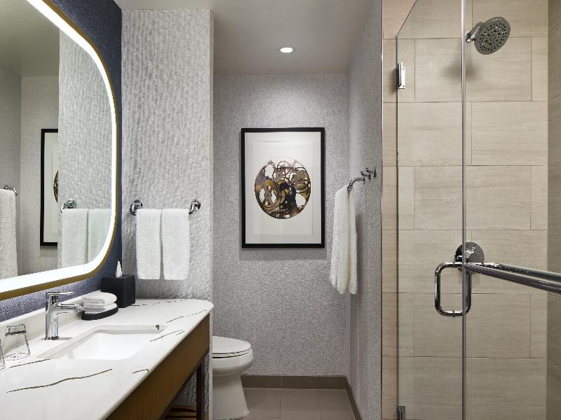 Hyatt Regency Tysons Corner Center image