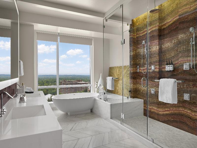 Hyatt Regency Tysons Corner Center image