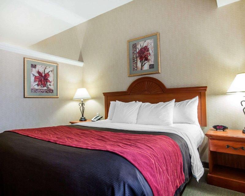 Comfort Inn & Suites adj to Akwesasne Mohawk Casin image