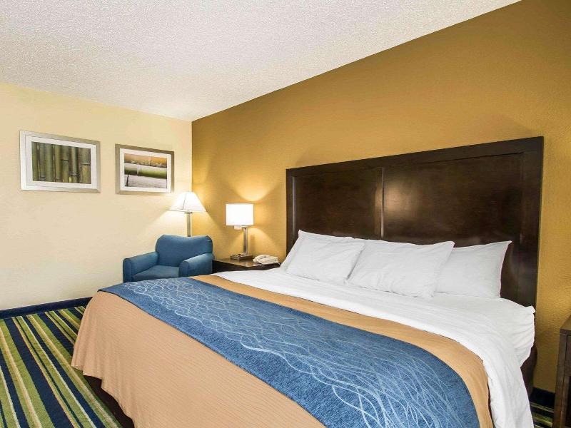 Comfort Inn&Suites Lantana - West Palm Beach South image