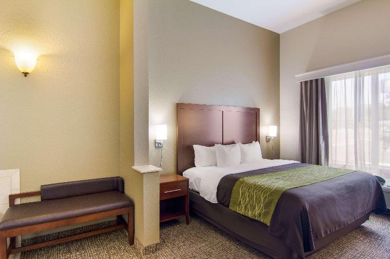 Comfort Inn Blackshear Hwy 84 image