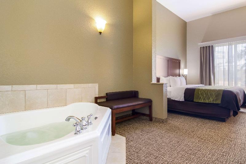 Comfort Inn Blackshear Hwy 84 image