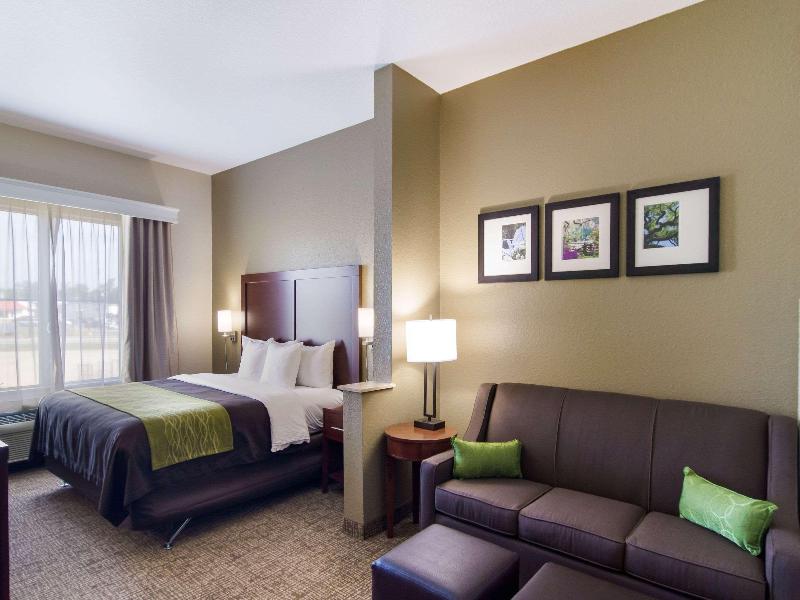 Comfort Inn Blackshear Hwy 84 image