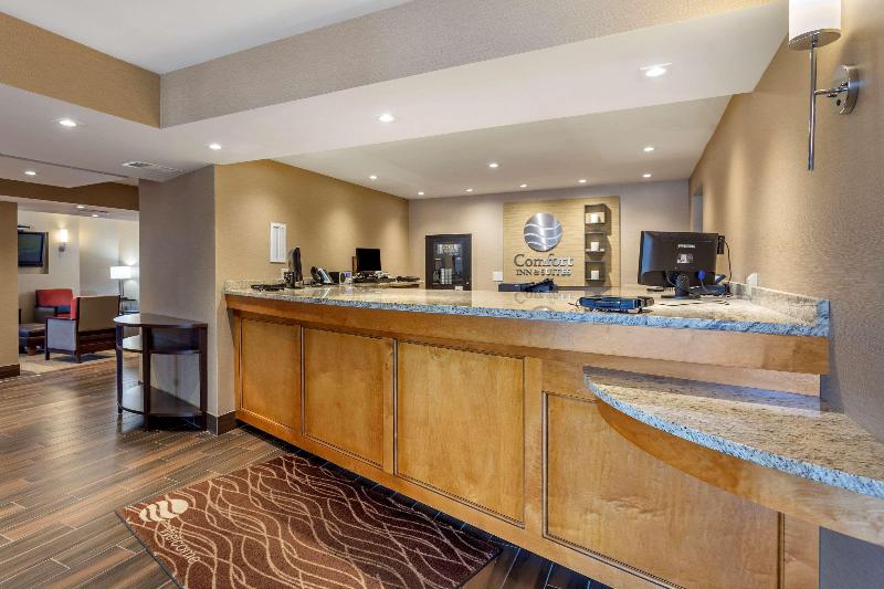 Comfort Inn & Suites Rochelle - Dekalb image