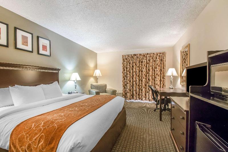 Comfort Inn & Suites Rochelle - Dekalb image