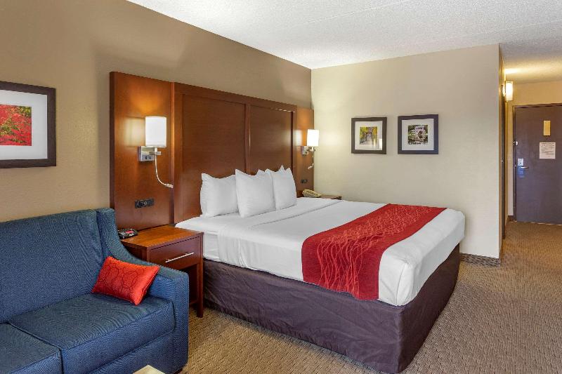 Comfort Inn & Suites Rochelle - Dekalb image