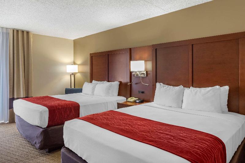 Comfort Inn & Suites Rochelle - Dekalb image