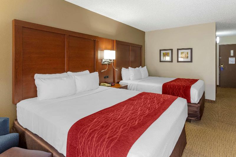Comfort Inn & Suites Rochelle - Dekalb image