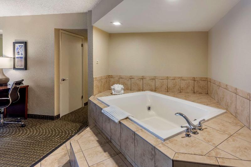Comfort Inn & Suites Rochelle - Dekalb image