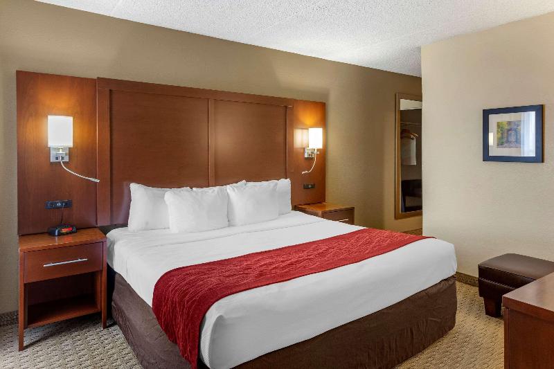 Comfort Inn & Suites Rochelle - Dekalb image