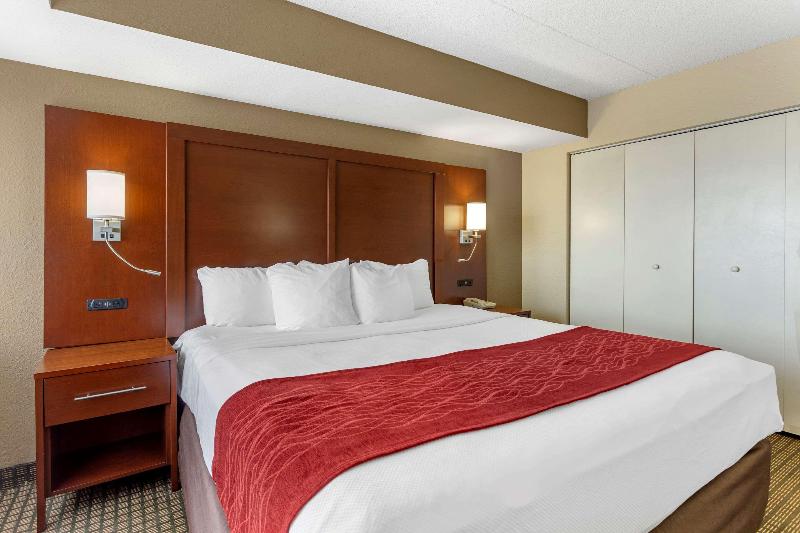 Comfort Inn & Suites Rochelle - Dekalb image