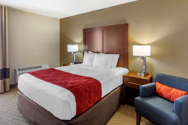 Comfort Inn & Suites Rochelle - Dekalb image