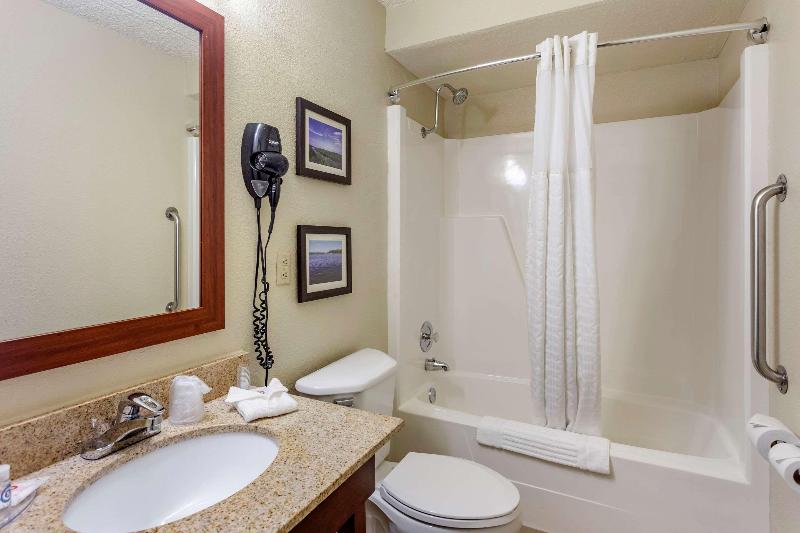 Comfort Inn & Suites Rochelle - Dekalb image