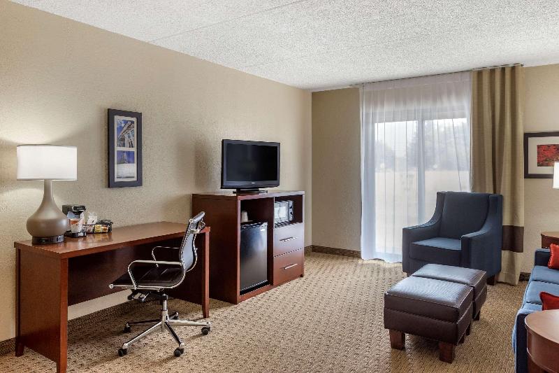 Comfort Inn & Suites Rochelle - Dekalb image