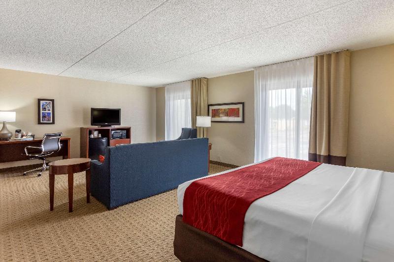 Comfort Inn & Suites Rochelle - Dekalb image