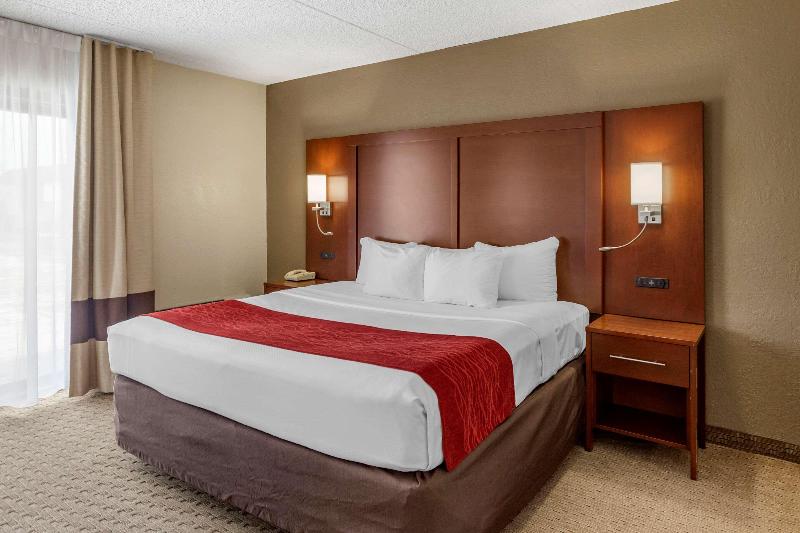 Comfort Inn & Suites Rochelle - Dekalb image