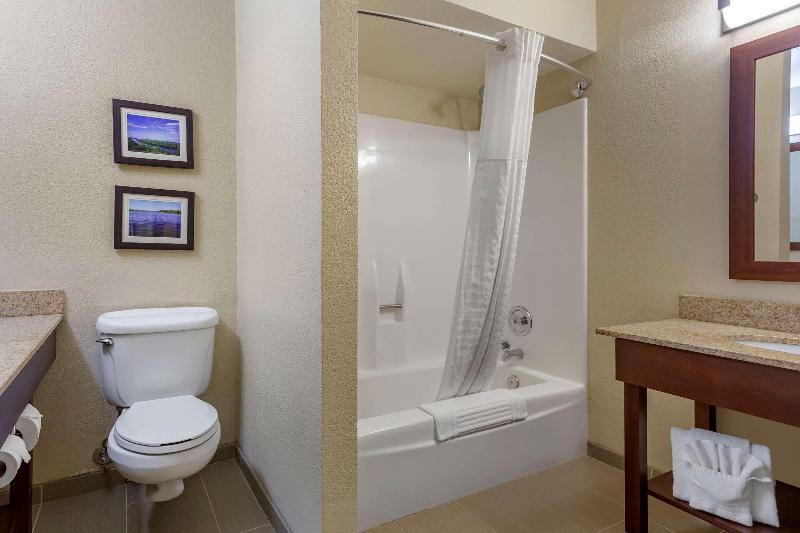 Comfort Inn & Suites Rochelle - Dekalb image