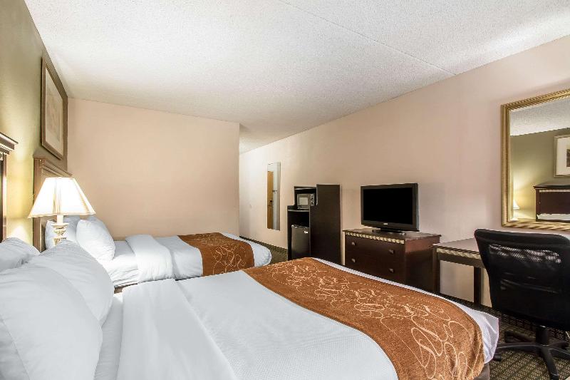 Comfort Inn & Suites Rochelle - Dekalb image