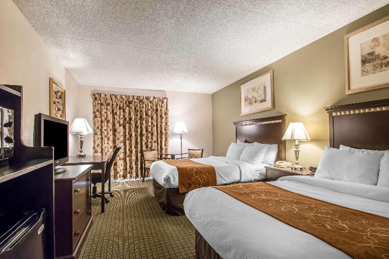 Comfort Inn & Suites Rochelle - Dekalb image