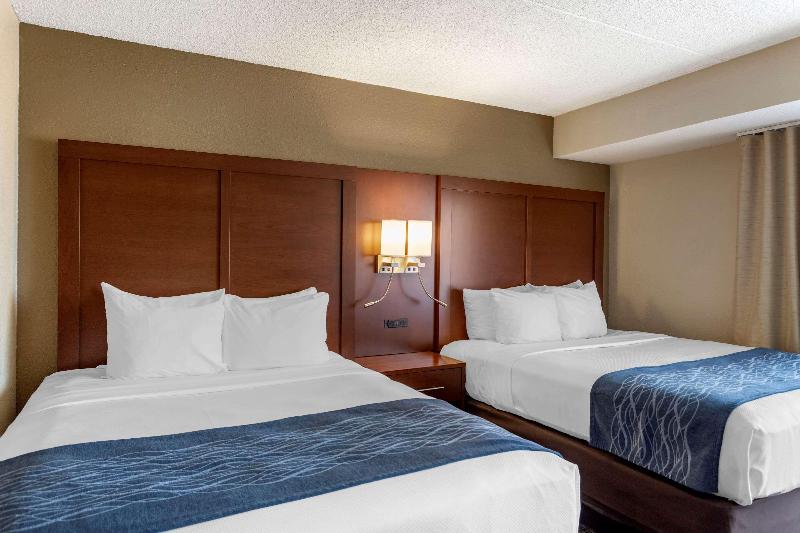 Comfort Inn & Suites Rochelle - Dekalb image