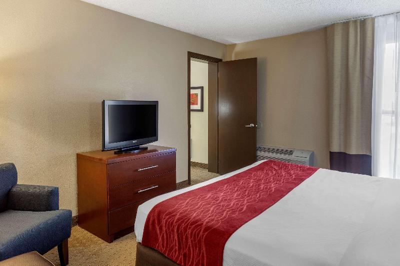 Comfort Inn & Suites Rochelle - Dekalb image