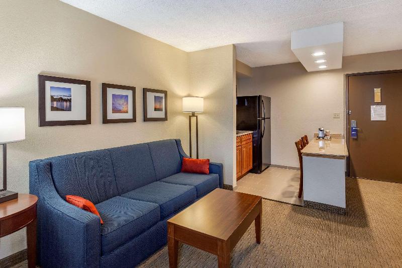 Comfort Inn & Suites Rochelle - Dekalb image