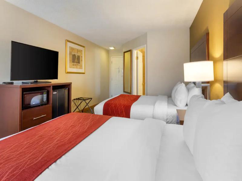 Comfort Inn Auburn-Worcester image