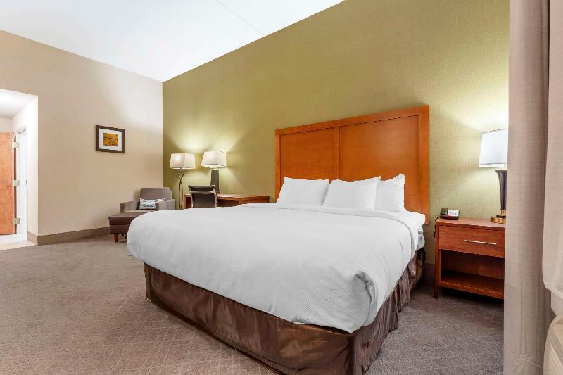 Comfort Inn & Suites LaVale - Cumberland image