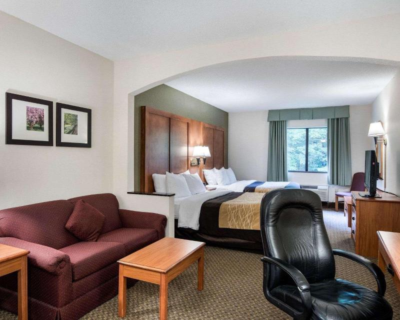 Comfort Inn & Suites LaVale - Cumberland image