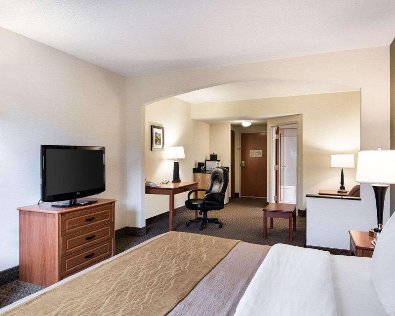 Comfort Inn & Suites LaVale - Cumberland image