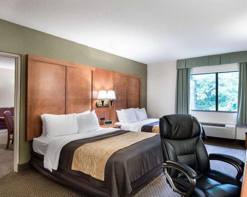 Comfort Inn & Suites LaVale - Cumberland image