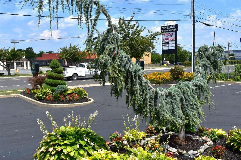 Quality Inn Vineland - Millville Millville Area image