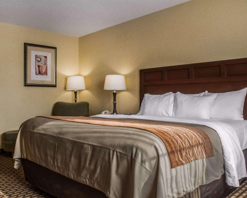 Comfort Inn & Suites Farmington - Victor image