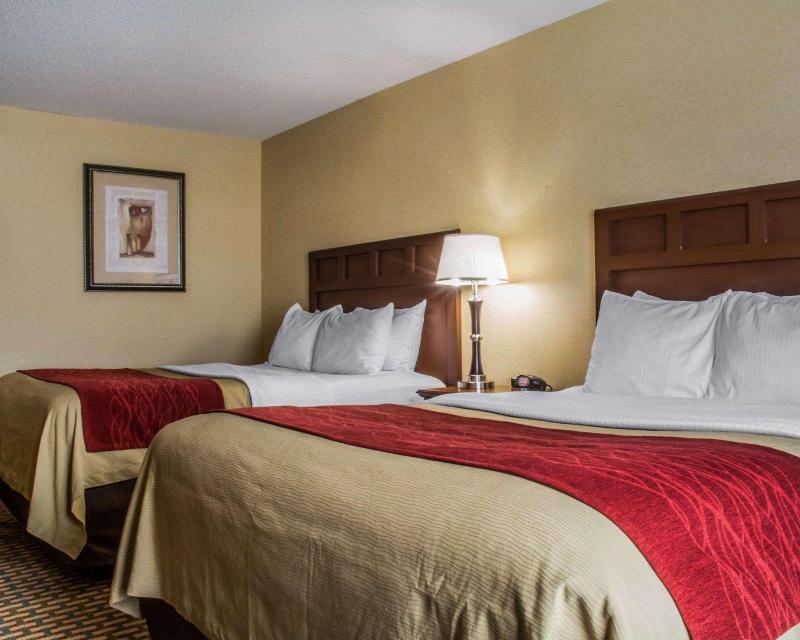 Comfort Inn & Suites Farmington - Victor image