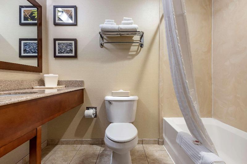 Comfort Inn & Suites Farmington - Victor image