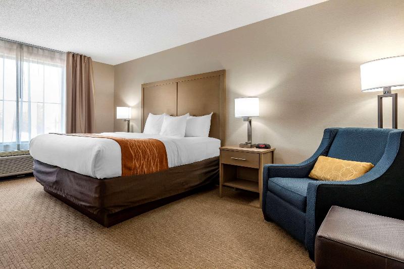 Comfort Inn & Suites Farmington - Victor image