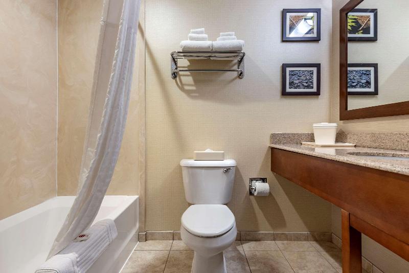 Comfort Inn & Suites Farmington - Victor image