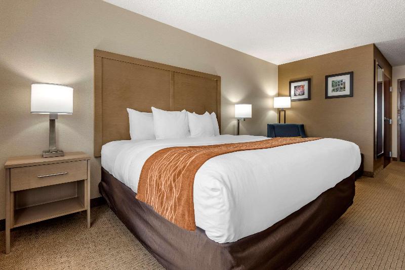 Comfort Inn & Suites Farmington - Victor image