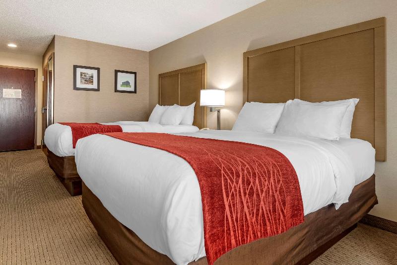 Comfort Inn & Suites Farmington - Victor image