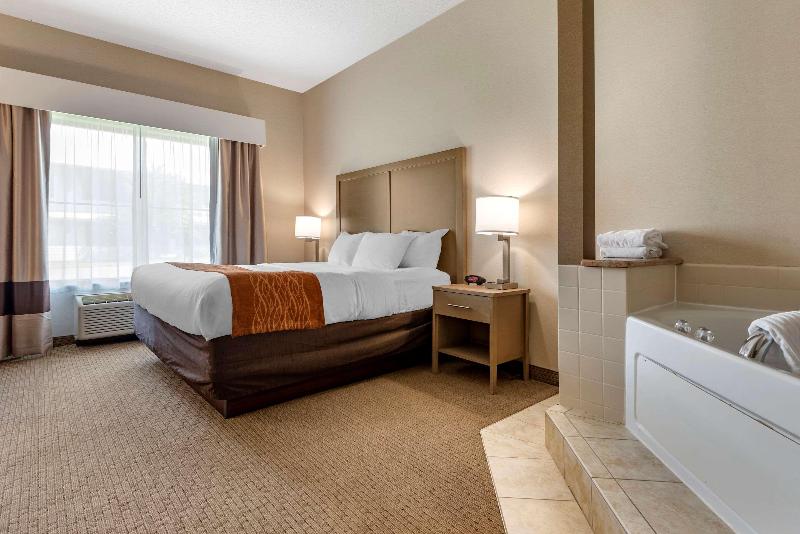 Comfort Inn & Suites Farmington - Victor image
