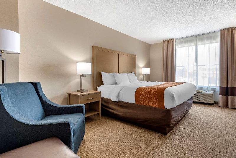 Comfort Inn & Suites Farmington - Victor image