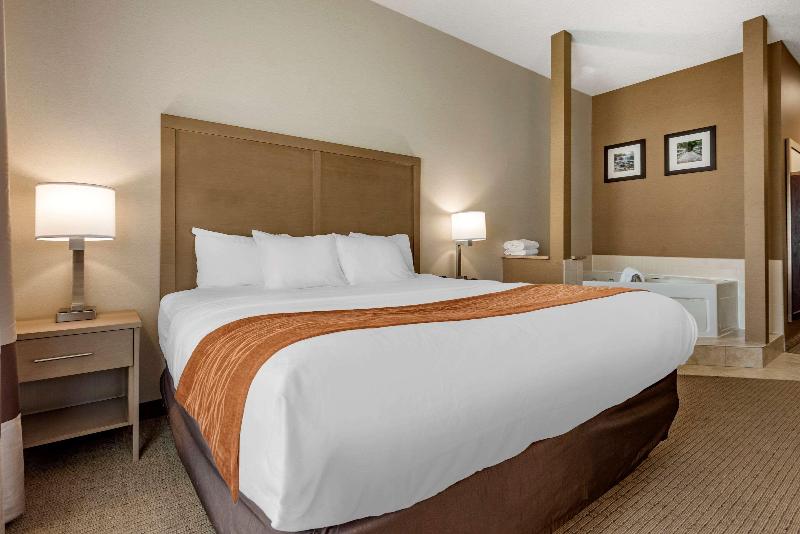 Comfort Inn & Suites Farmington - Victor image