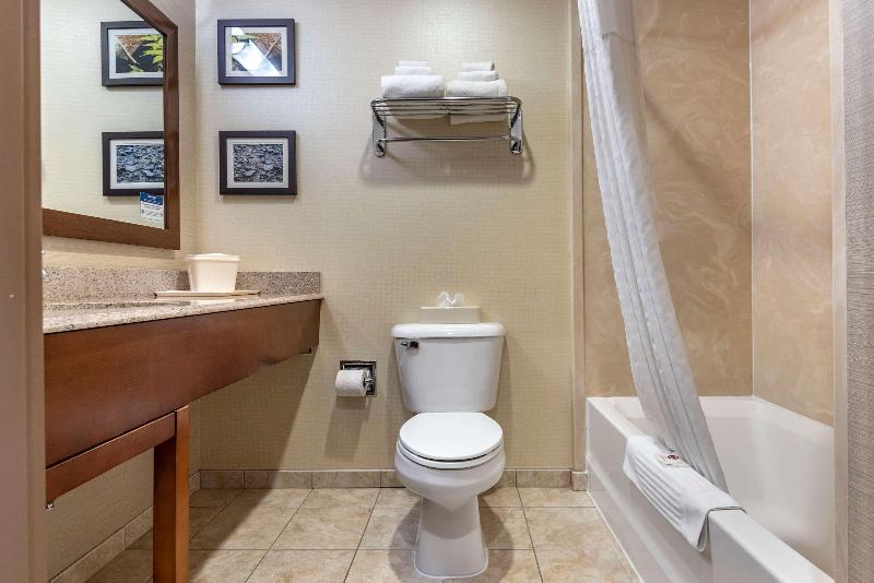 Comfort Inn & Suites Farmington - Victor image