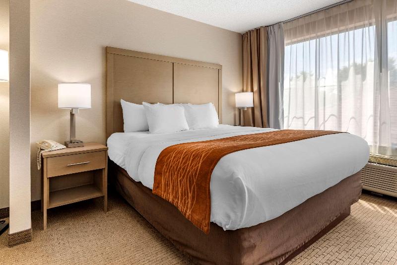 Comfort Inn & Suites Farmington - Victor image
