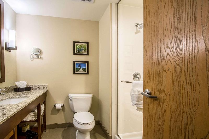 Comfort Suites Hotel and Conference Center image