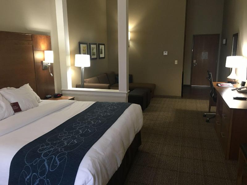 Comfort Suites Hotel and Conference Center image