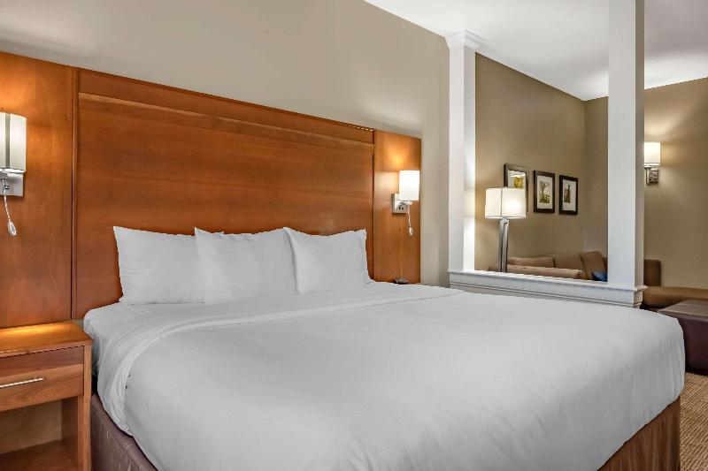 Comfort Suites Hotel and Conference Center image