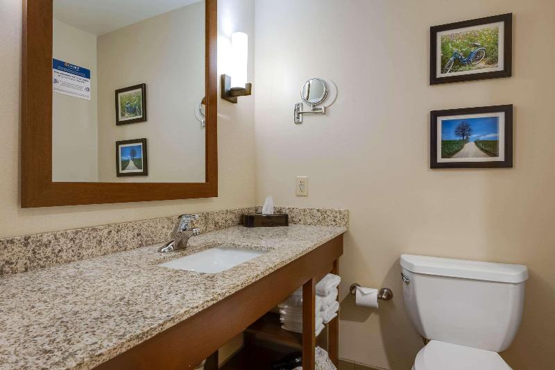 Comfort Suites Hotel and Conference Center image